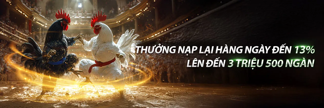 Đá gà trực tuyến Nohu67
