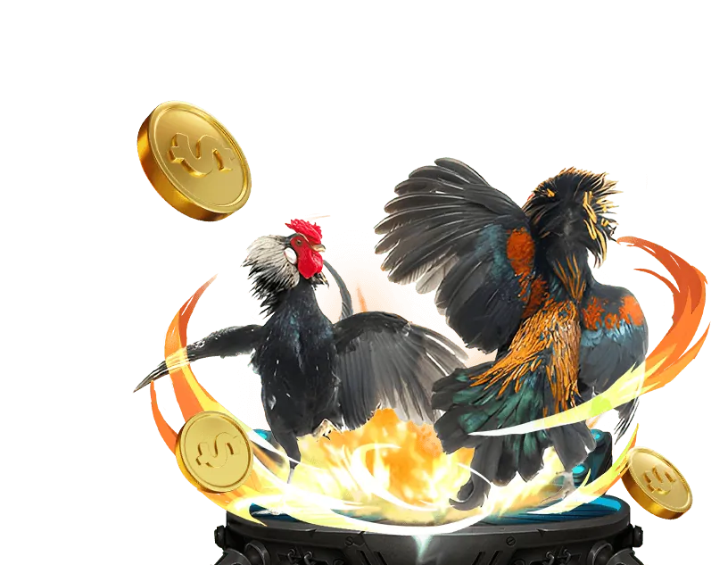 Đá gà Thomo trực tiếp tại nohu67