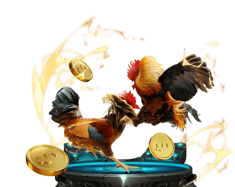 Đá gà Campuchia kịch tính tại nohu67